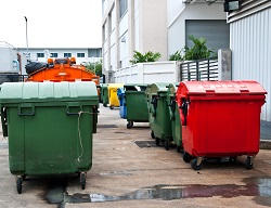 Reliable Rubbish Collectors in KT1