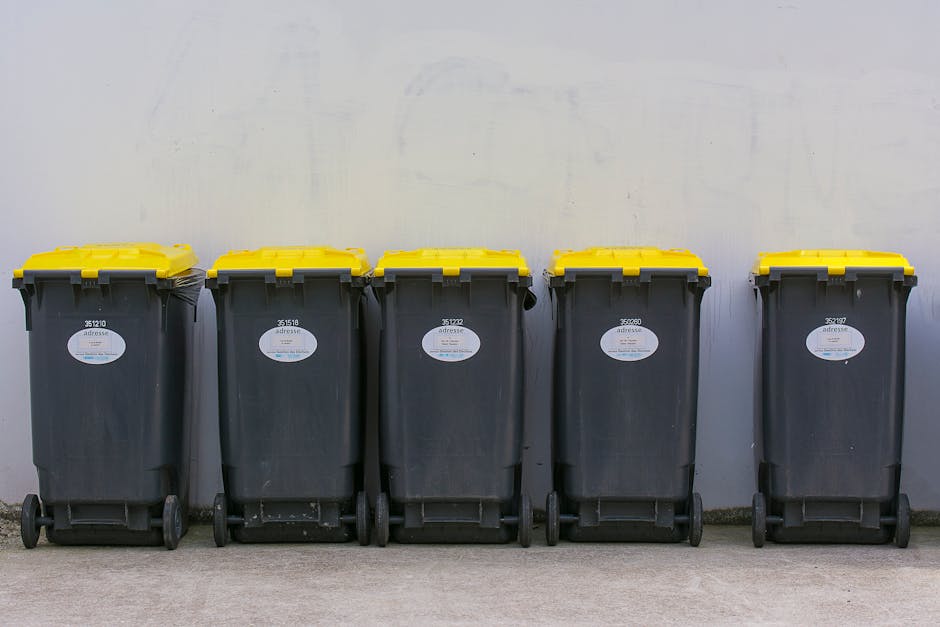 A black wheeled rubbish bin positioned on a paved urban sidewalk at night, with a white label showing the name 'St. Johns' on its side. The bin lid is open, revealing a collection of mixed waste, including paper, cardboard, and plastic materials, some of which are partially spilling over the top. The environment features streetlights casting warm, orange-toned illumination, creating shadows on the ground, with a street stretching into the background lined with trees and parked vehicles. The surrounding area appears quiet, with no people visible. This scene suggests an example of independent waste collection or private rubbish disposal, which may be handled by local waste management services such as Rubbish Removal Kingston. The image emphasizes the typical setup for on-site rubbish collection in residential or commercial settings, highlighting the importance of proper waste segregation and container use within urban environments.