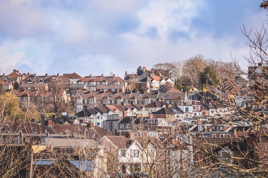 The image shows a detailed view of a historic building's rooftop and central clock tower, situated in an urban area with a river and green landscape visible in the background. The roof consists of dark grey slate tiles with various gables, dormer windows, and chimney stacks protruding from the roofline. The central clock tower is topped with a domed structure featuring a weathervane, and it has decorative elements such as circular windows and ornate cornices painted white, contrasting with the darker roof materials. Surrounding the main building are other smaller rooftops with similar slate finishes, some with chimneys and small window dormers. The environment is illuminated by diffuse daylight, with a slightly overcast sky, creating a neutral and professional tone visually. The scene contextualizes the historic architecture within an urban setting that may require cleaning, maintenance, or clearance services, aligning with private waste removal or on-site clearance options possibly provided by Rubbish Removal Kingston, as part of local property management or preservation activities.